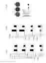 Fig. 15 - Composition for inducing differentiation into beige and brown adipocytes and method of inducing the same
