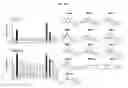 Fig. 18 - Composition for inducing differentiation into beige and brown adipocytes and method of inducing the same