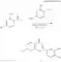 Fig. 25 - Composition for inducing differentiation into beige and brown adipocytes and method of inducing the same