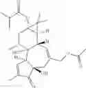 Fig. 45 - Compositions And Methods Of Use Of Phorbol Esters In The Treatment Of Neoplasms