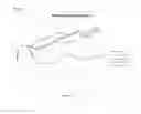 Fig. 06 - METAP2 inhibitors and methods of treating obesity