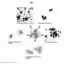 Fig. 04 - Effective Amounts of (3aR)-1,3a,8-Trimethyl-1,2,3,3a,8,8a-hexahydropyrrolo[2,3 b]indol-5-yl Phenylcarbamate and Methods of Treating or Preventing Neurodegeneration
