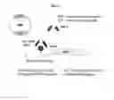 Fig. 07 - Effective Amounts of (3aR)-1,3a,8-Trimethyl-1,2,3,3a,8,8a-hexahydropyrrolo[2,3 b]indol-5-yl Phenylcarbamate and Methods of Treating or Preventing Neurodegeneration