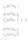 Fig. 09 - Effective Amounts of (3aR)-1,3a,8-Trimethyl-1,2,3,3a,8,8a-hexahydropyrrolo[2,3 b]indol-5-yl Phenylcarbamate and Methods of Treating or Preventing Neurodegeneration