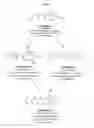 Fig. 22 - Effective Amounts of (3aR)-1,3a,8-Trimethyl-1,2,3,3a,8,8a-hexahydropyrrolo[2,3 b]indol-5-yl Phenylcarbamate and Methods of Treating or Preventing Neurodegeneration