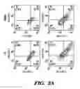 Fig. 08 - Methods and compositions relating to the treatment of cancer