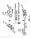 Fig. 49 - Methods and compositions relating to the treatment of cancer