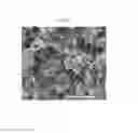 Fig. 04 - Implantable, Malleable Calcium Phosphate Compositions and Methods for Making and Using the Same