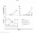 Fig. 02 - Expanded NK cells