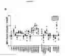 Fig. 04 - Expanded NK cells
