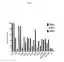 Fig. 07 - Expanded NK cells