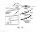 Fig. 02 - ABCB5(+) stem cells for treating ocular disease