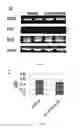 Fig. 05 - Compositions and methods for treating cognitive deficits