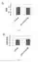 Fig. 06 - Compositions and methods for treating cognitive deficits