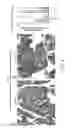 Fig. 12 - Compositions and methods for treating inflammatory diseases