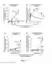 Fig. 15 - Compositions and methods for treating inflammatory diseases