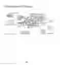 Fig. 02 - Phthalocyanine probes and uses thereof