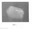 Fig. 02 - Polypeptide hydrogel and method for producing same
