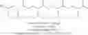 Fig. 65 - Lipid formulations for delivery of therapeutic agents to solid tumors