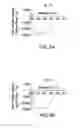 Fig. 09 - NOVEL PH -SWITCHABLE PEPTIDES FOR MEMBRANE INSERTION AND PORE FORMATION