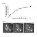 Fig. 04 - COMPOUNDS THAT BIND DYSTROGLYCAN AND USES THEREOF