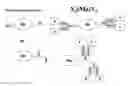 Fig. 01 - Methods and Compositions for Generating Bioactive Assemblies of Increased Complexity and Uses