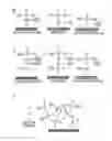 Fig. 06 - Nanoparticles for drug delivery