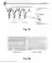 Fig. 02 - BRAIN TUMOR TARGETING PEPTIDES AND METHODS