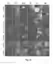 Fig. 10 - BRAIN TUMOR TARGETING PEPTIDES AND METHODS