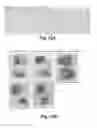 Fig. 12 - BRAIN TUMOR TARGETING PEPTIDES AND METHODS