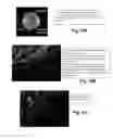 Fig. 13 - BRAIN TUMOR TARGETING PEPTIDES AND METHODS
