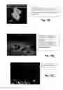 Fig. 15 - BRAIN TUMOR TARGETING PEPTIDES AND METHODS