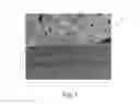 Fig. 02 - HIGH INTERNAL PHASE EMULSION FOAM ASSOCIATED WITH POLYURETHANE FOAM