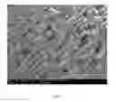 Fig. 02 - Chitosan foam medical devices and methods