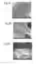 Fig. 04 - Solid substrates for mitigating or preventing cell and tissue adhesion and vascularization