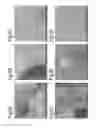 Fig. 09 - Solid substrates for mitigating or preventing cell and tissue adhesion and vascularization