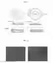 Fig. 02 - HUMAN CORNEAL ENDOTHELIAL CELL SHEET