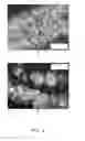Fig. 06 - Coatings with crystallized active agent(s) and methods