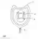 Fig. 01 - Medical mask for transferring fluids