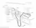 Fig. 01 - Respiratory apparatus