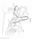 Fig. 02 - Respiratory apparatus