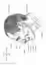 Fig. 08 - Respiratory apparatus