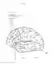 Fig. 03 - Treatment of language, behavior and social disorders