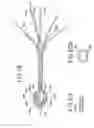 Fig. 10 - BRACHYTHERAPY DEVICES AND METHODS FOR THERAPEUTIC RADIATION PROCEDURES