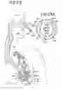 Fig. 13 - BRACHYTHERAPY DEVICES AND METHODS FOR THERAPEUTIC RADIATION PROCEDURES