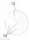 Fig. 01 - Device and method for delivering medicaments