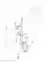 Fig. 02 - Exercise suspension apparatus