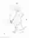 Fig. 02 - Abdomen exercise bench