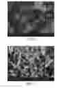 Fig. 06 - Dehydration-hydrolysis processes and catalysts therefor