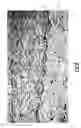 Fig. 06 - Electro-hydraulic rivet and method of riveting and welding parts